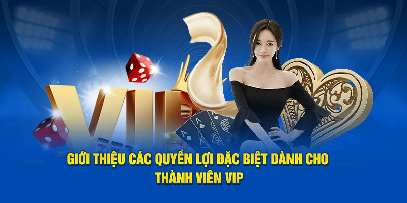 Giới thiệu các quyền lợi đặc biệt dành cho thành viên VIP tại nền tảng