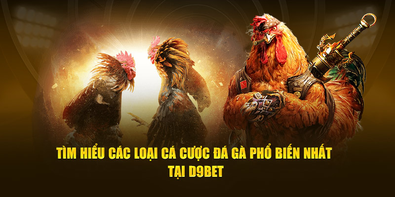 Tìm Hiểu Các Loại Cá Cược Đá Gà Phổ Biến Nhất tại D9bet